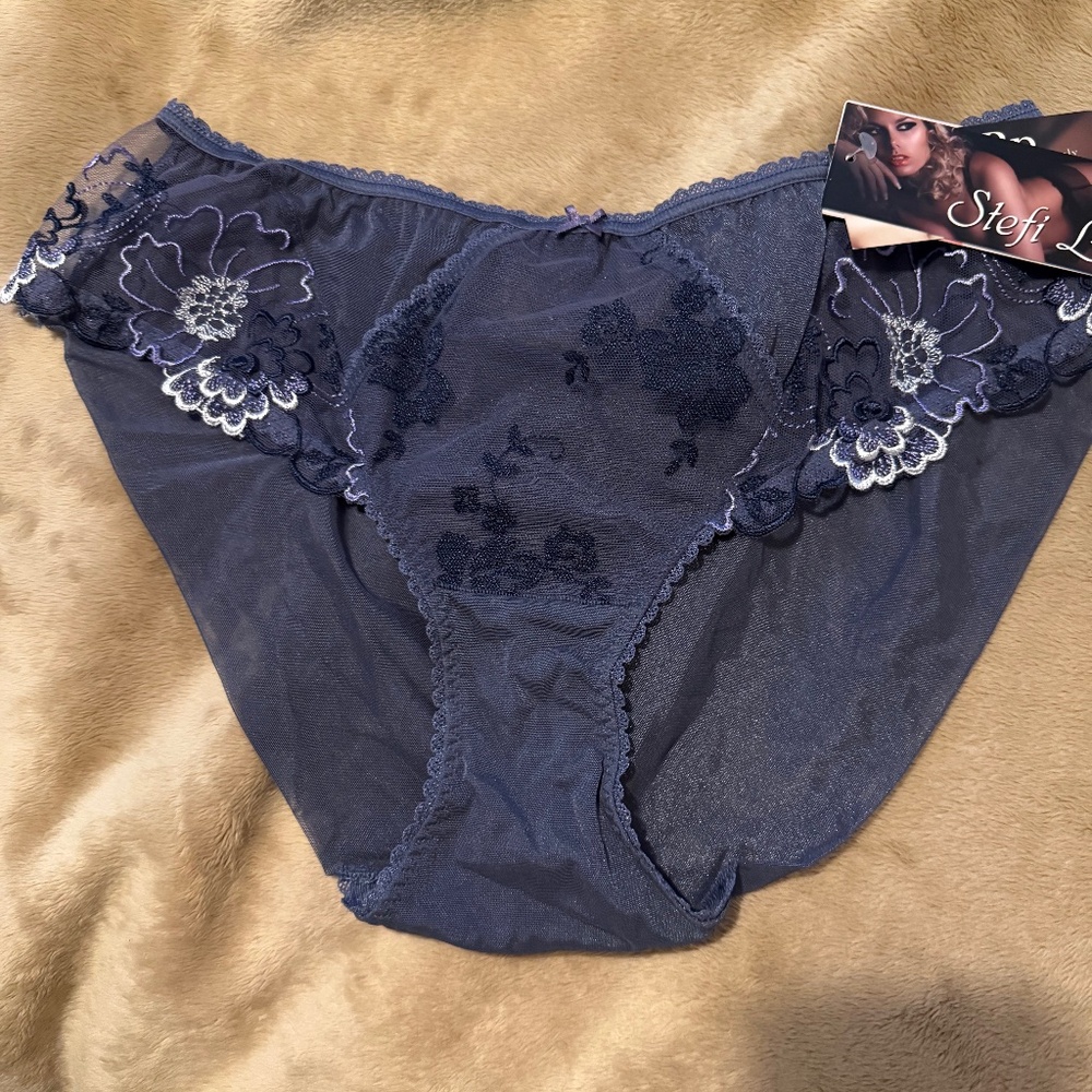 Stefi L Sheer Panties Style 7410-34819 XL NWT